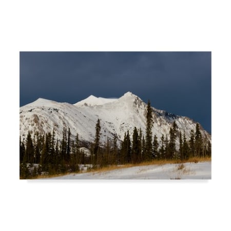 Brenda Petrella Photography Llc 'Stormy Peak' Canvas Art,22x32